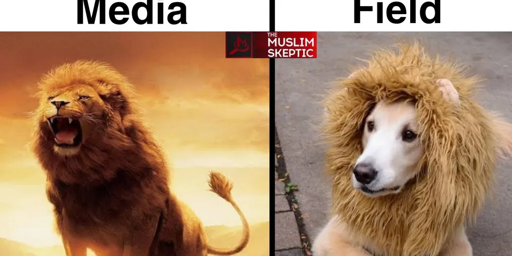 তরমুজ মেমস