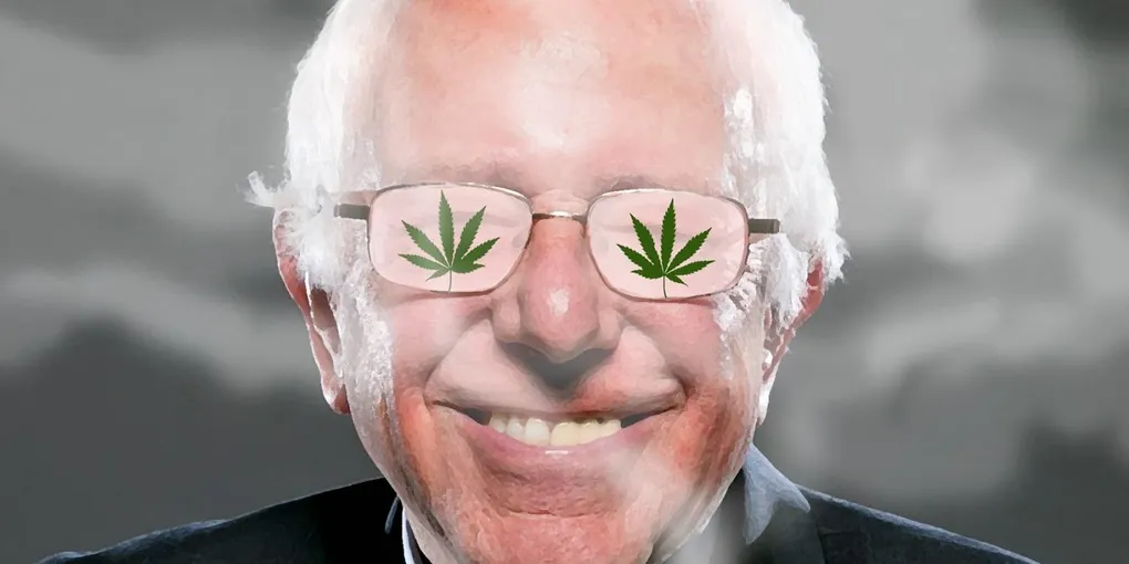 মারিজুয়ানা বৈধকরণ সম্পর্কে মুসলমানদের কি ভাবা উচিত? বার্নি প্ল্যান